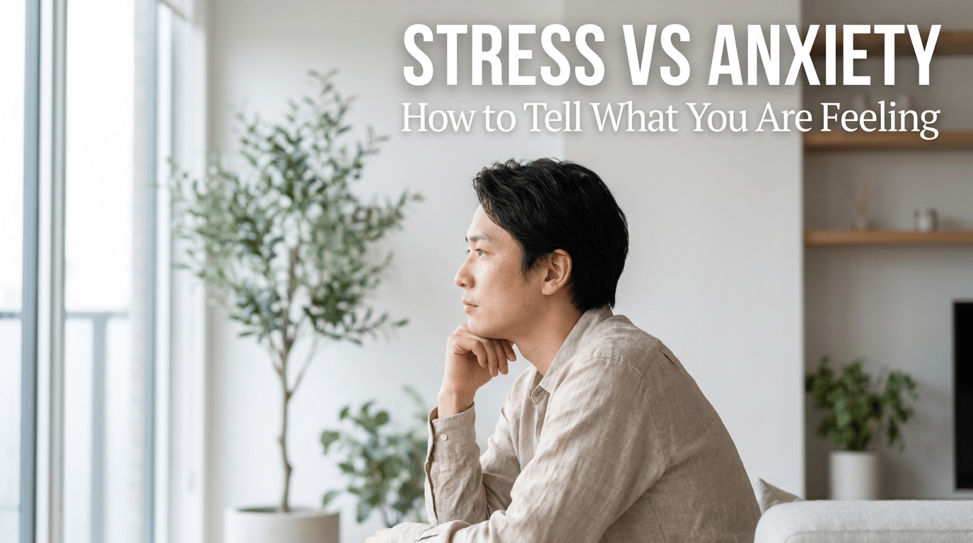 Stress vs Anxiety: How to Tell What You Are Feeling featured image