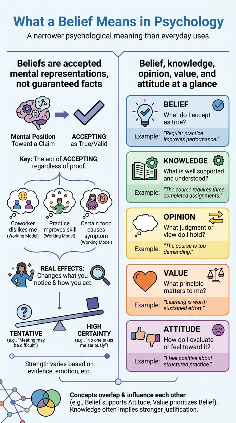 What a Belief Means in Psychology