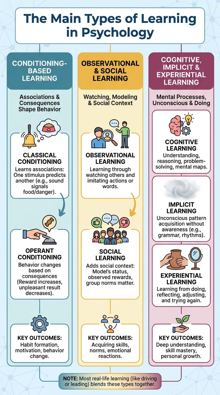 The Main Types of Learning in Psychology