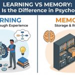 Learning vs Memory: What Is the Difference in Psychology? thumbnail