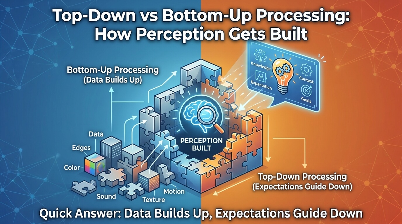 Top-Down vs Bottom-Up Processing: How Perception Gets Built thumbnail