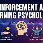 Reinforcement and Learning Psychology: How Consequences Shape What We Learn thumbnail