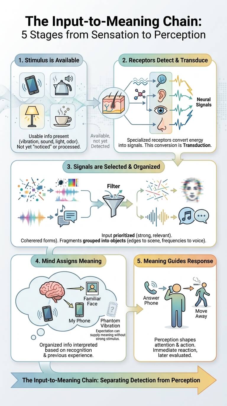 The Input-to-Meaning Chain