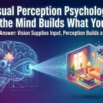 Visual Perception Psychology: How the Mind Builds What You See thumbnail