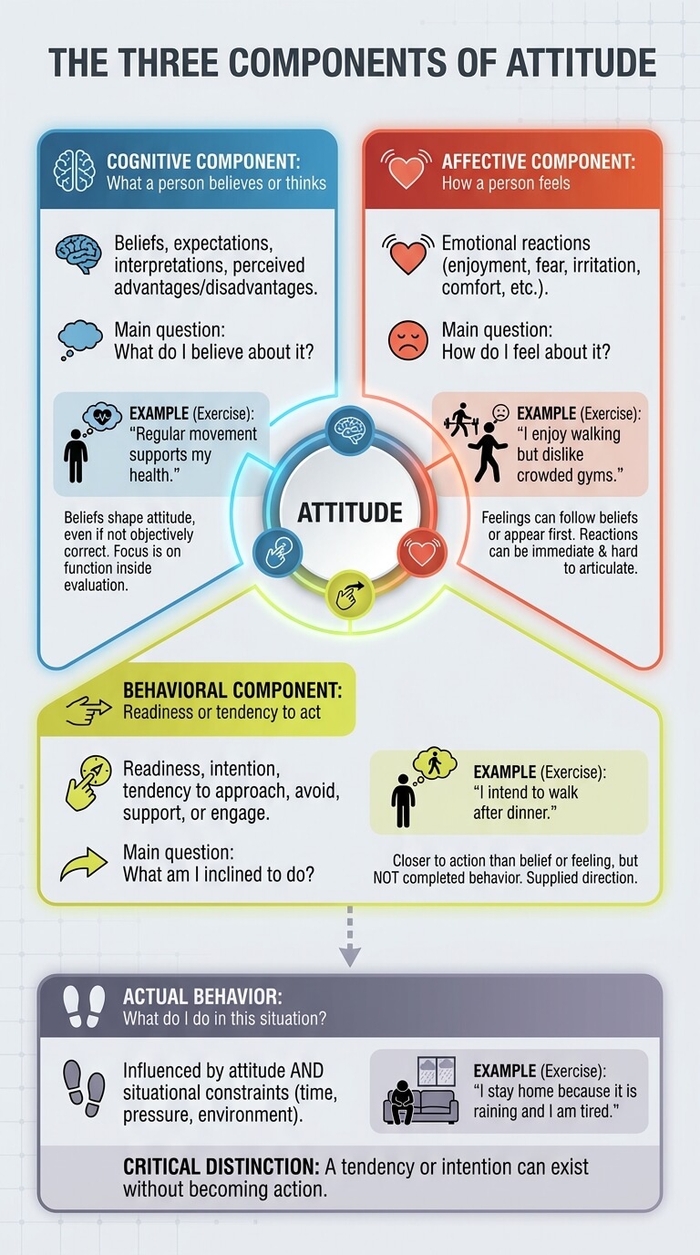The Three Components of Attitude