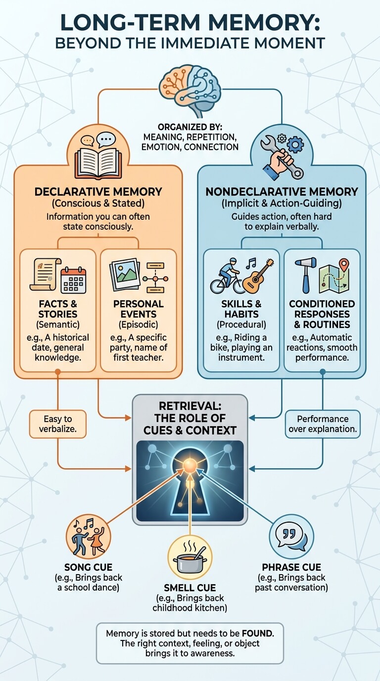 Long-Term Memory