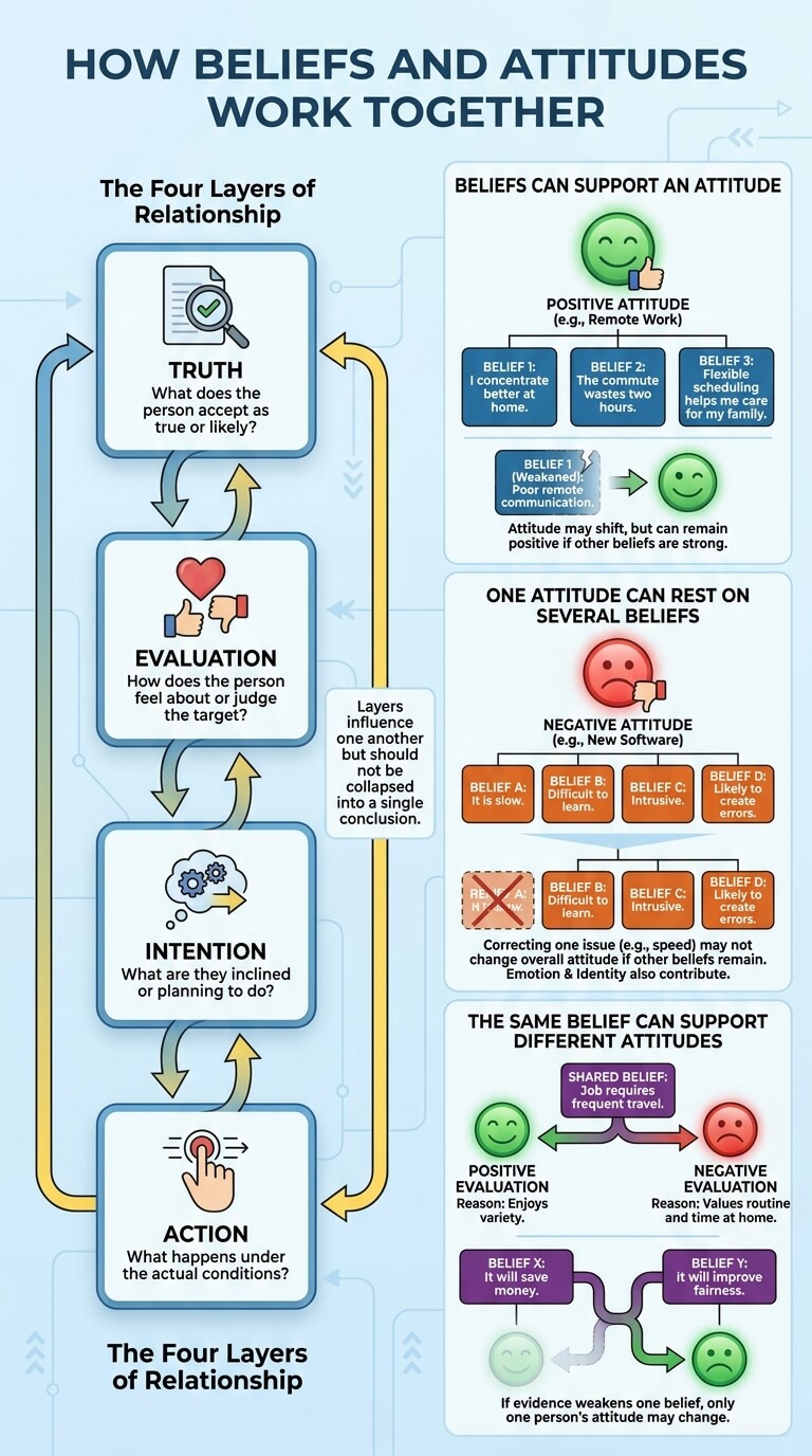 How Beliefs and Attitudes Work Together