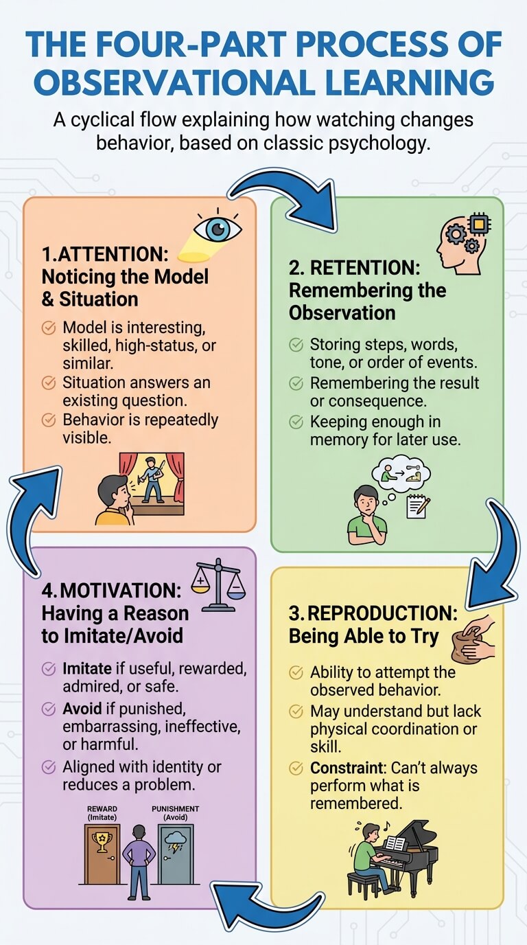 The Four-Part Process of Observational Learning