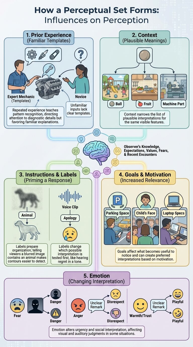How a Perceptual Set Forms