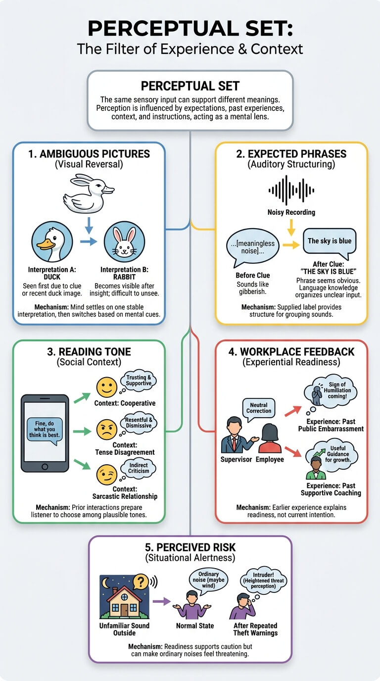 Perceptual Set Psychology: How Expectations Shape What You Perceive - Classic and Everyday Examples