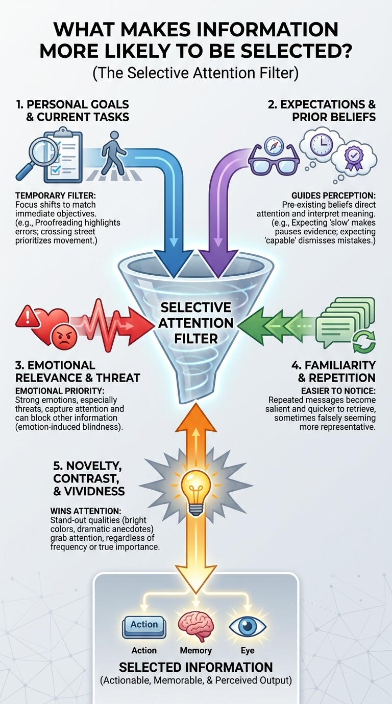 What Makes Information More Likely to Be Selected?