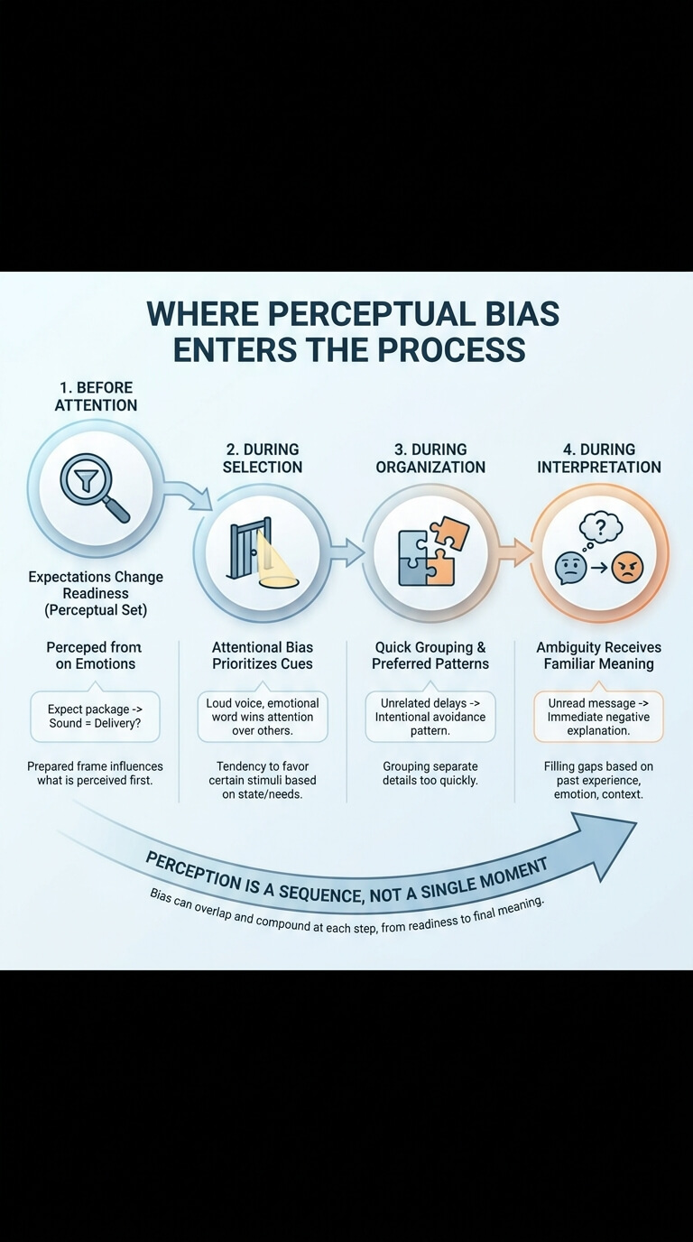 Where Perceptual Bias Enters the Process
