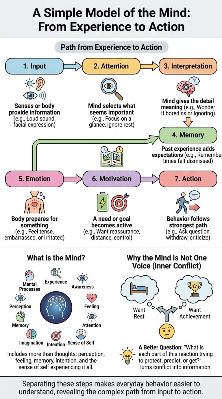 A Simple Model of the Mind