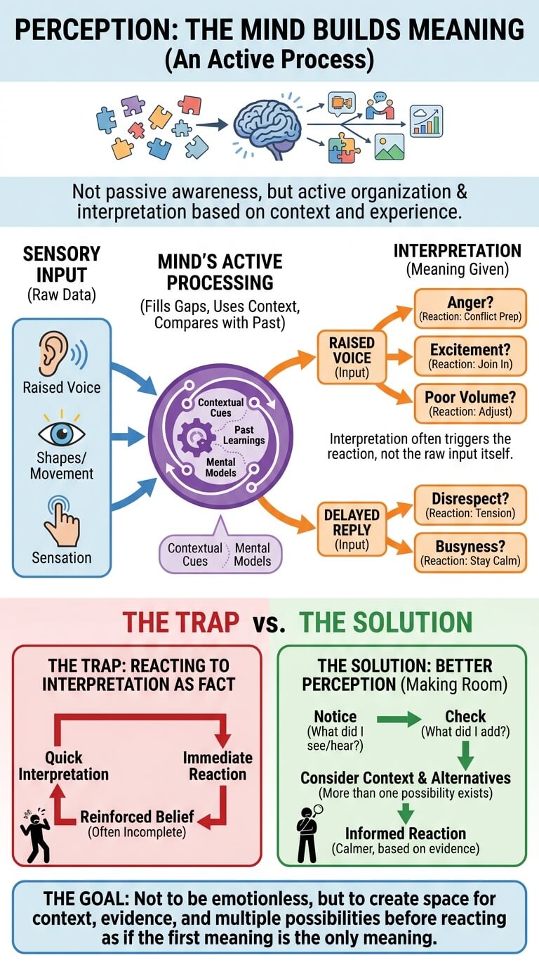 Perception: The Mind Builds Meaning