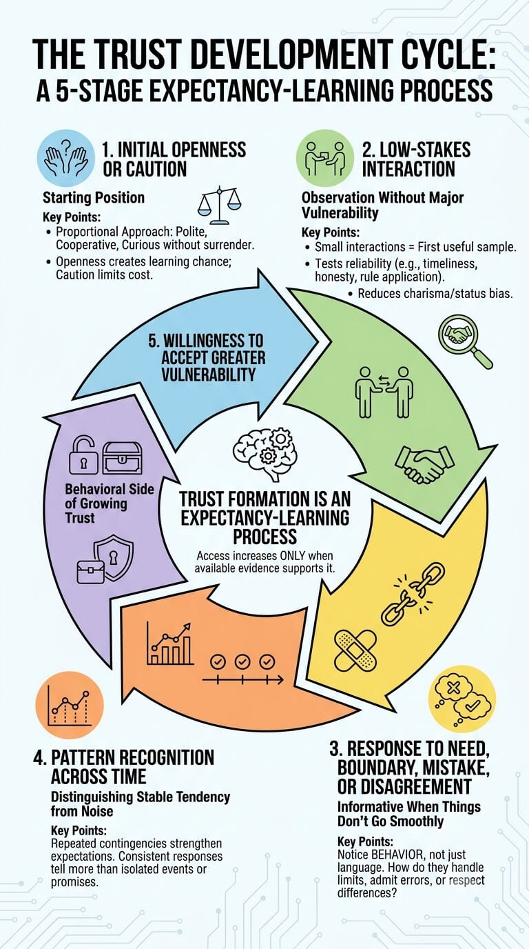 The Trust Development Cycle