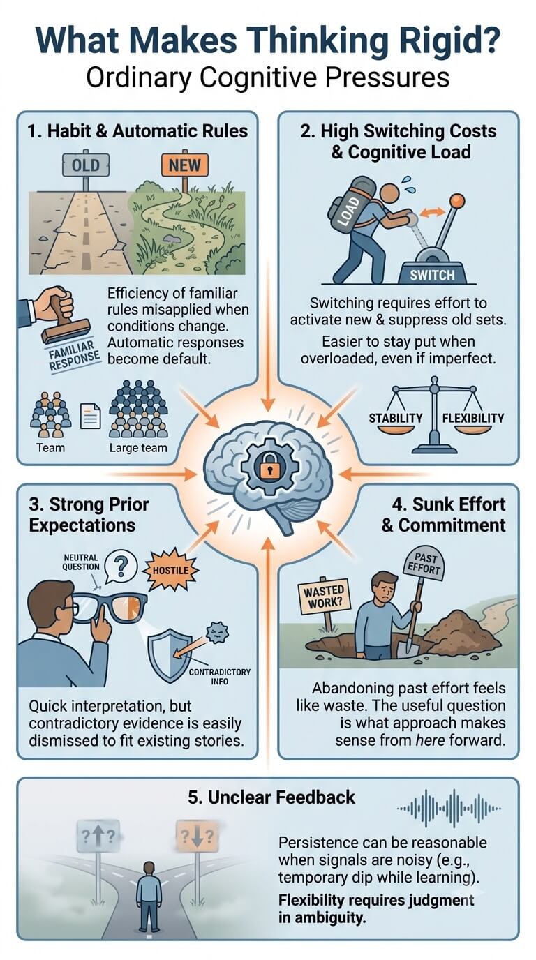 What Makes Thinking Rigid?