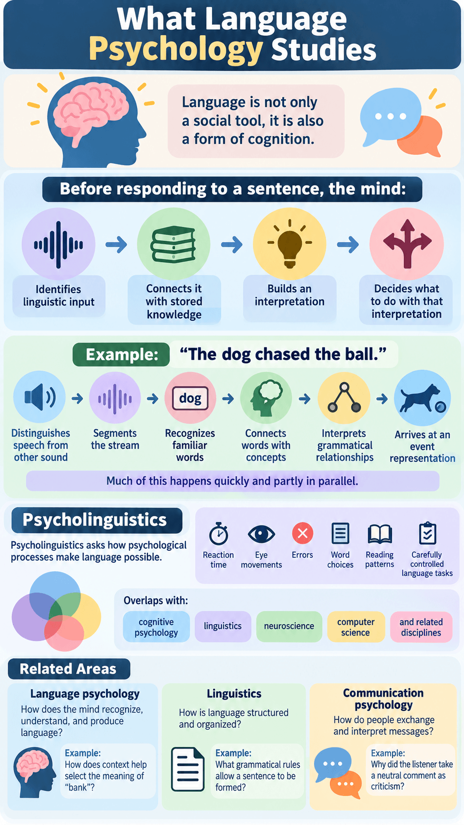What Language Psychology Studies