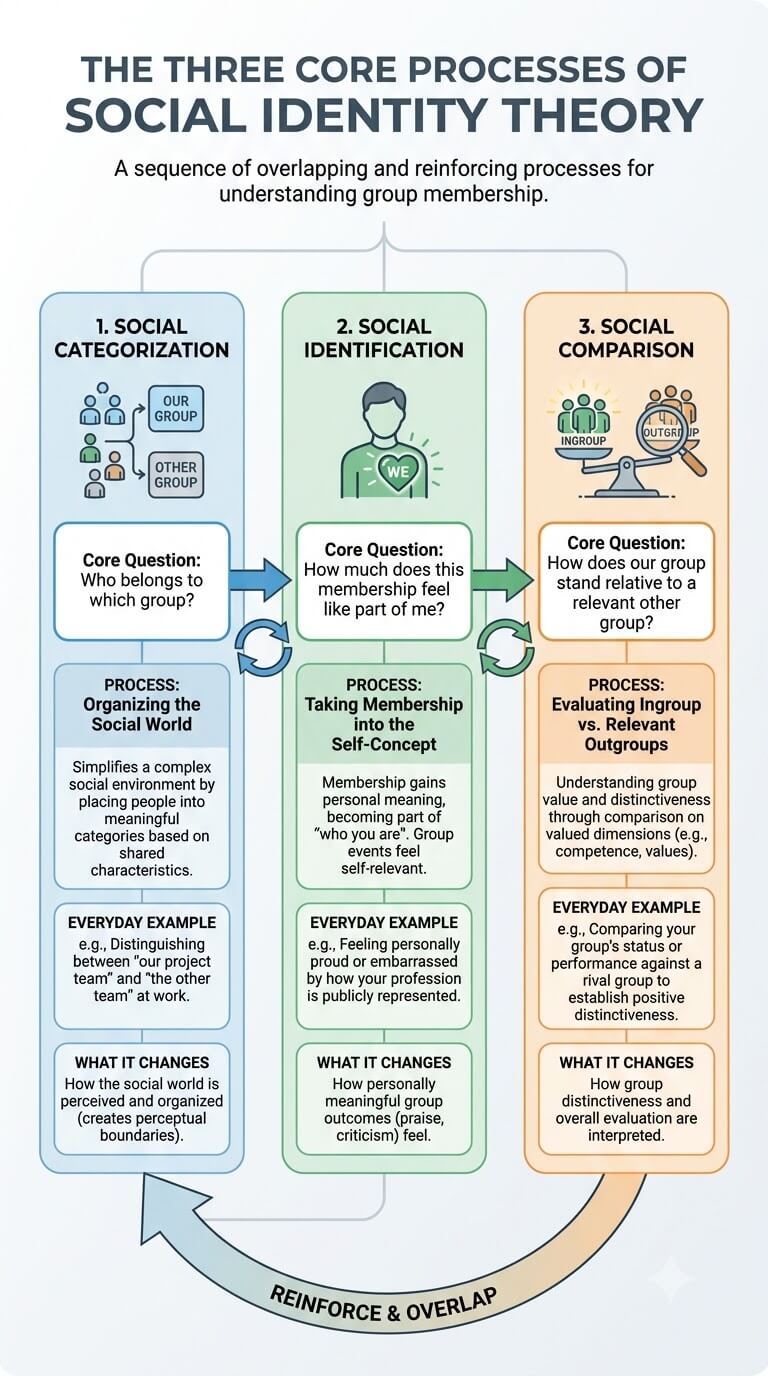The Three Core Processes of Social Identity Theory