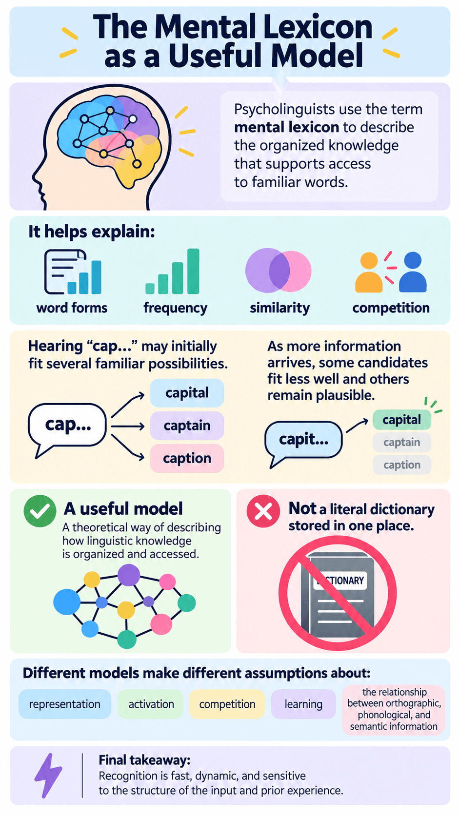 The Mental Lexicon as a Useful Model