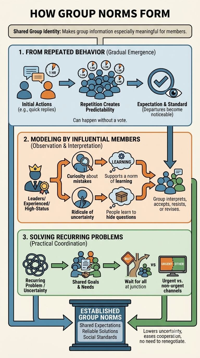 How Group Norms Form