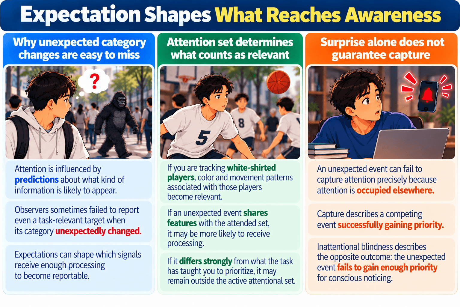 Expectation Shapes What Reaches Awareness