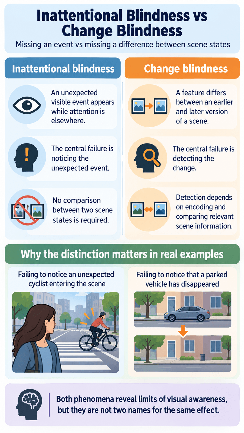 Inattentional Blindness vs Change Blindness