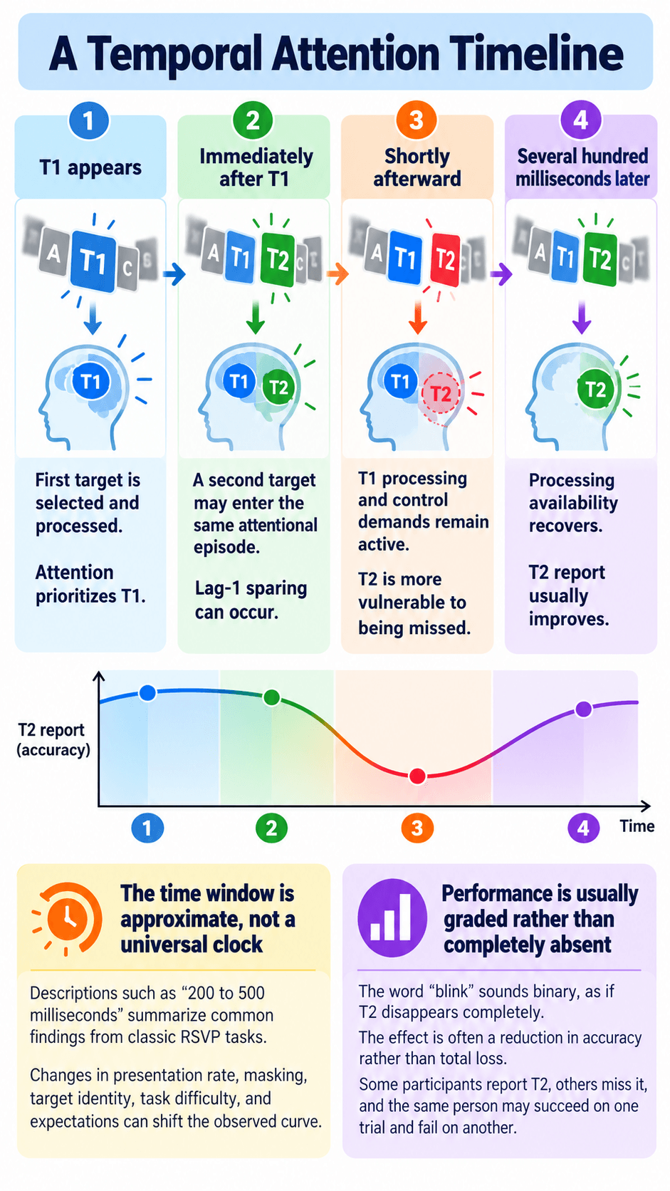 A Temporal Attention Timeline