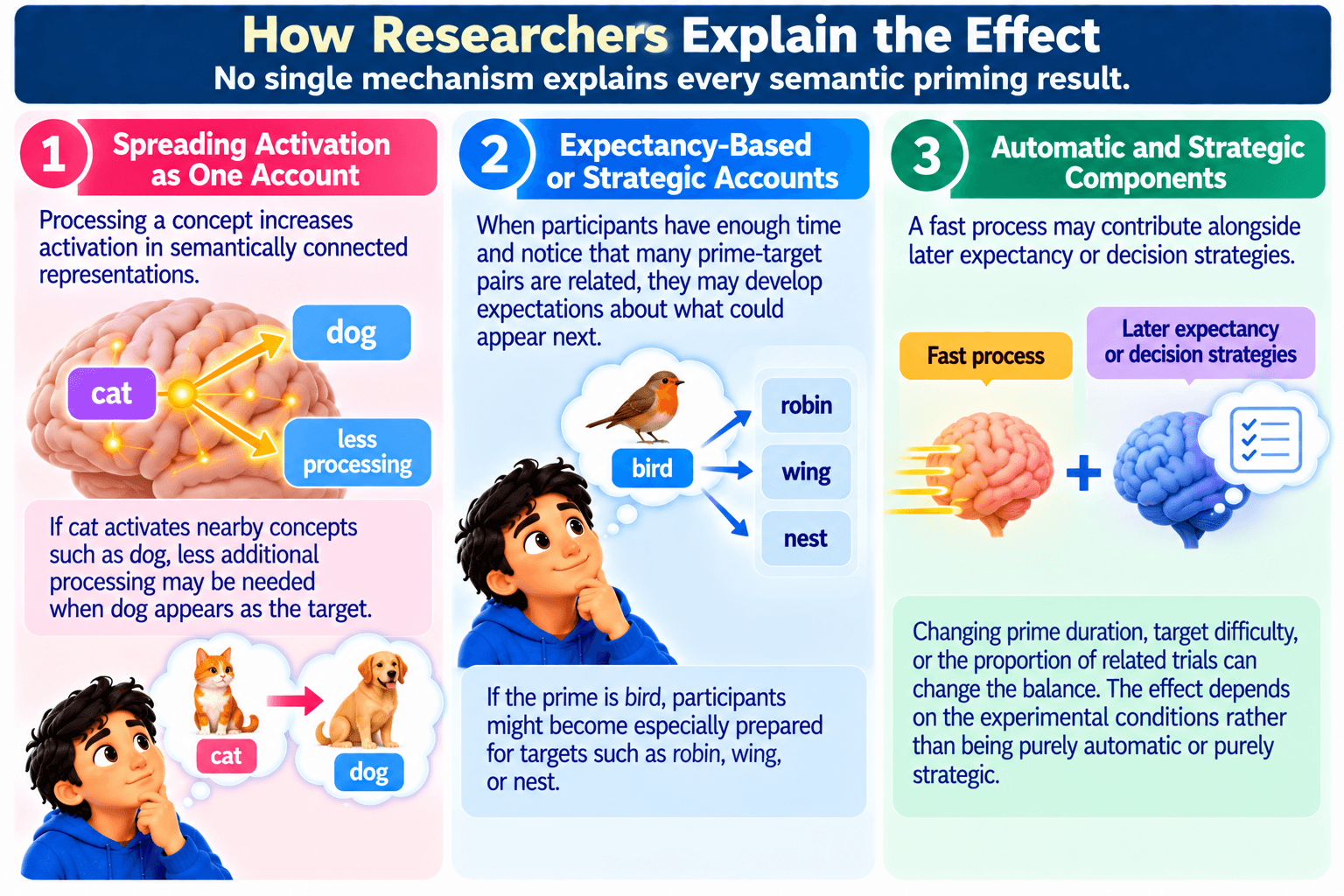 How Researchers Explain the Effect