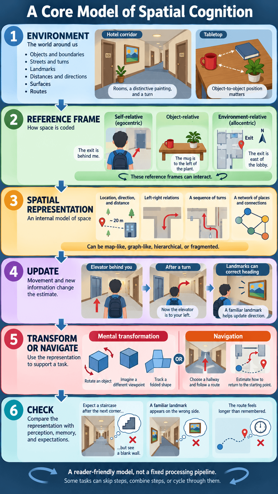 A Core Model of Spatial Cognition