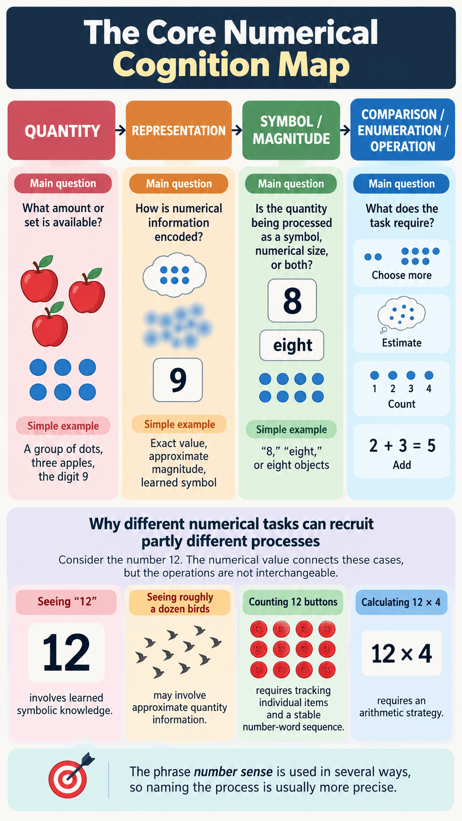 The Core Numerical Cognition Map