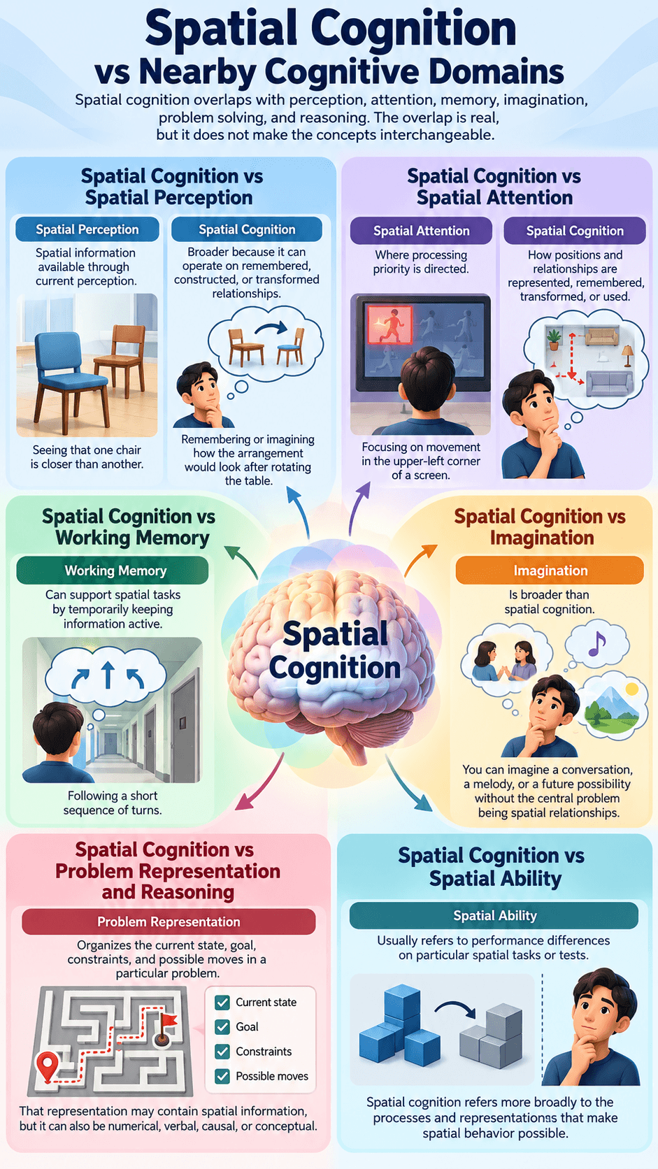Spatial Cognition vs Nearby Cognitive Domains