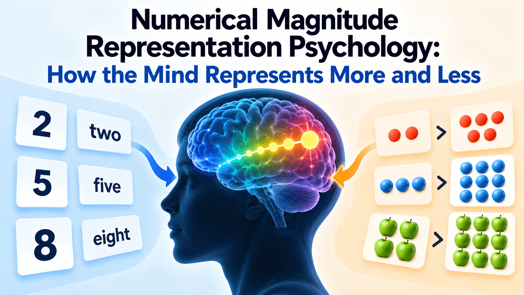 Numerical Magnitude Representation Psychology: How the Mind Represents More and Less
