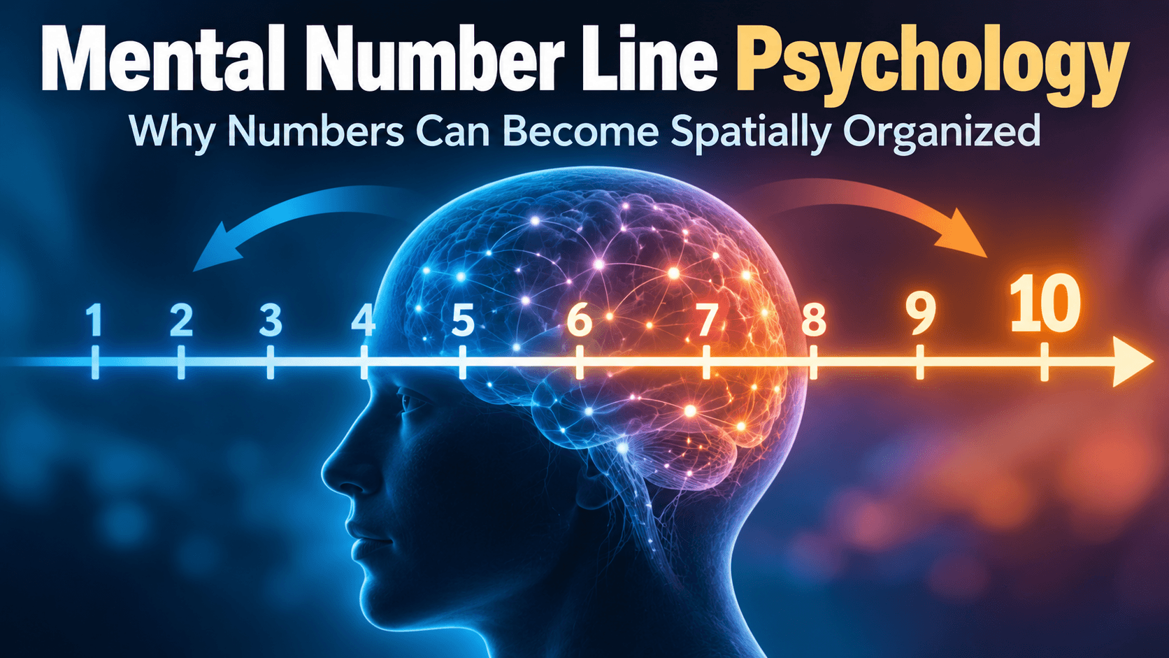 Mental Number Line Psychology: Why Numbers Can Become Spatially Organized thumbnail