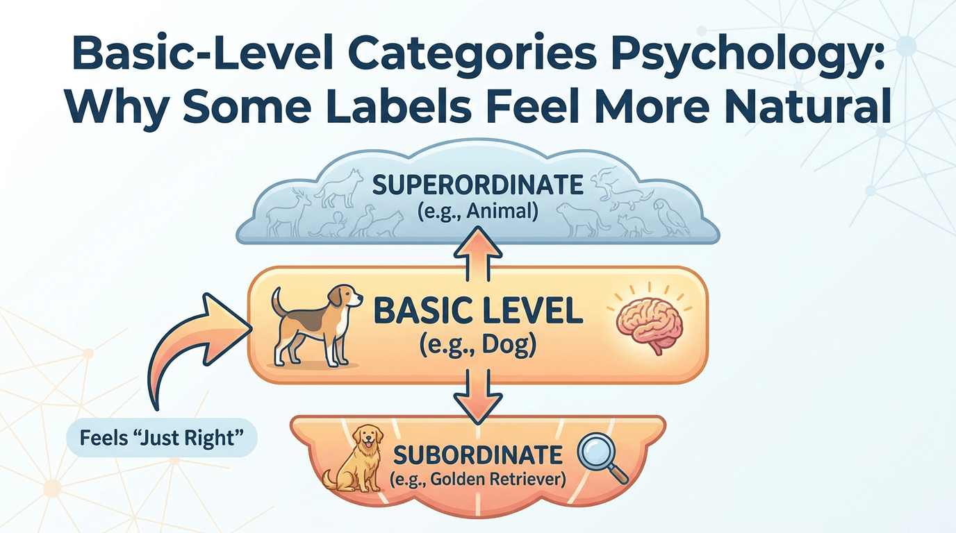 Basic-Level Categories Psychology: Why Some Labels Feel More Natural