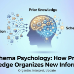 Schema Psychology: How Prior Knowledge Organizes New Information thumbnail