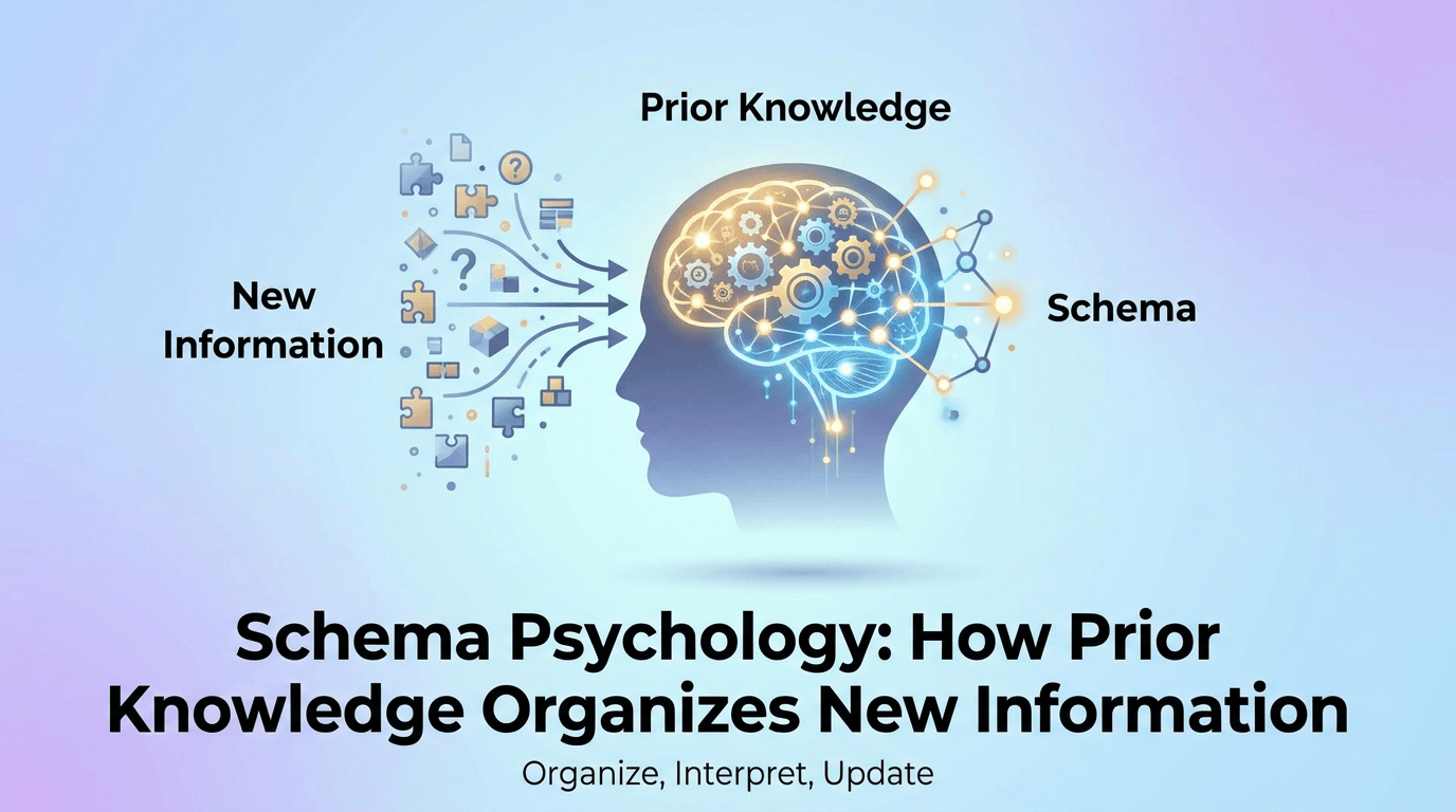 Schema Psychology: How Prior Knowledge Organizes New Information