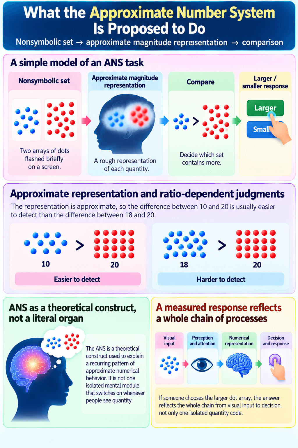 What the Approximate Number System Is Proposed to Do