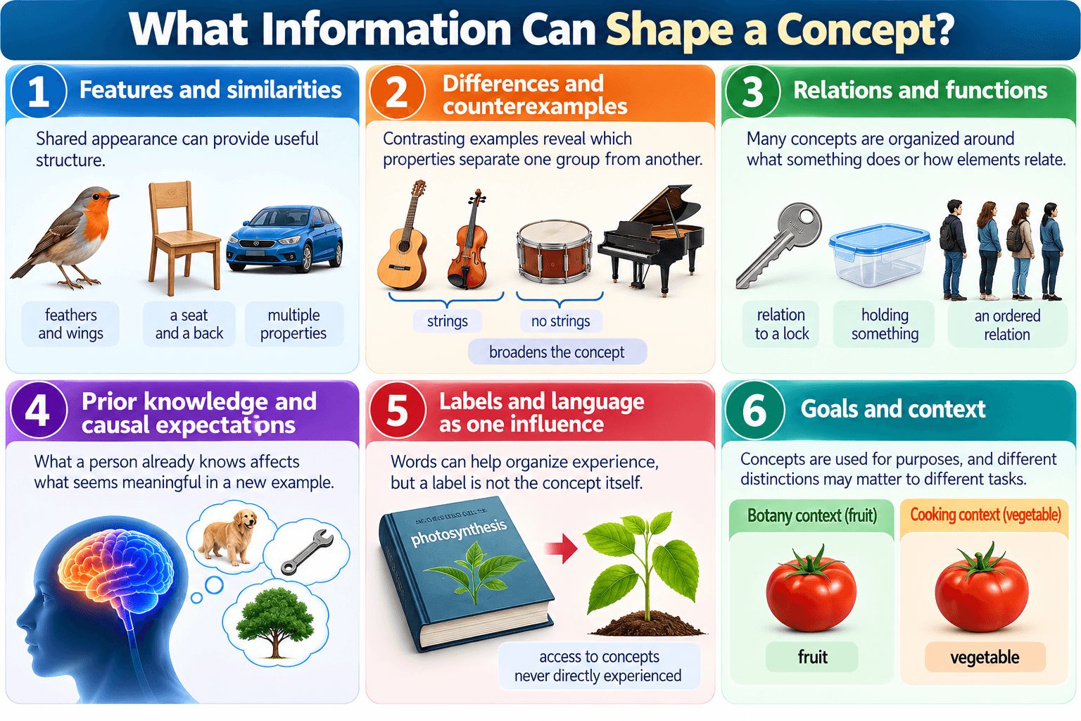 What Information Can Shape a Concept?