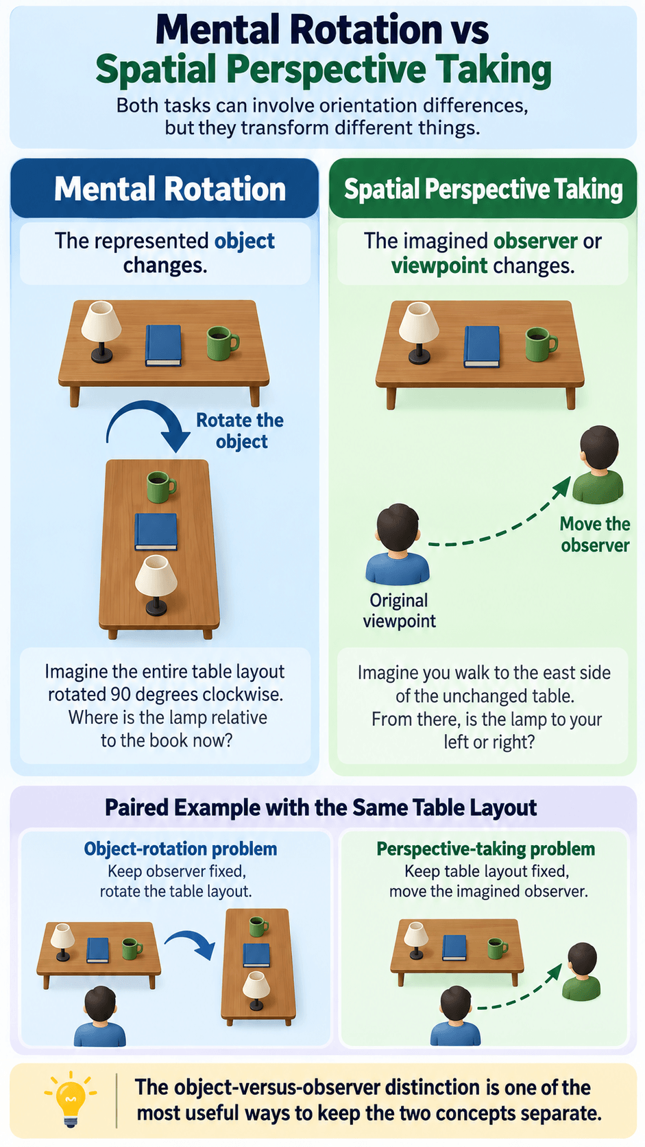 Mental Rotation vs Spatial Perspective Taking