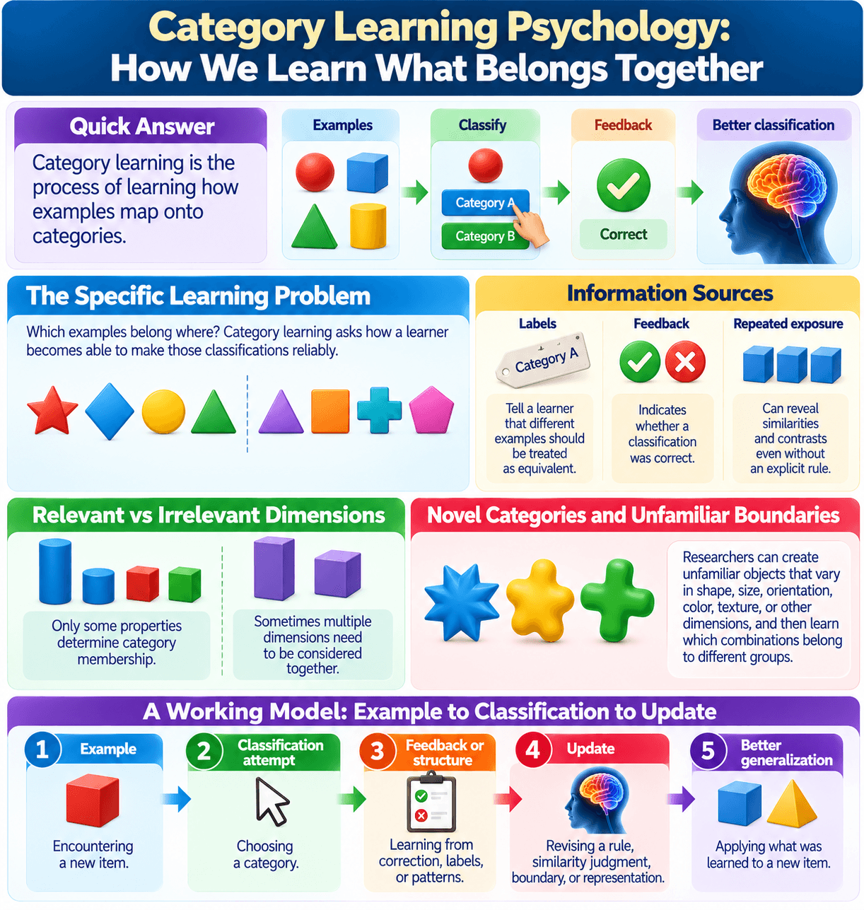 Category Learning Psychology