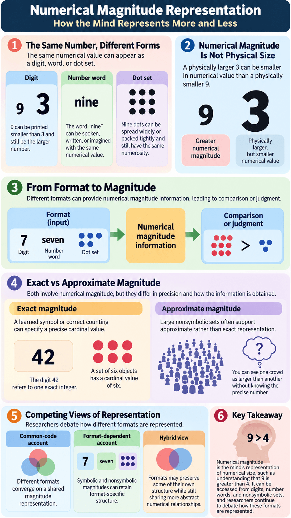 Numerical Magnitude Representation Psychology