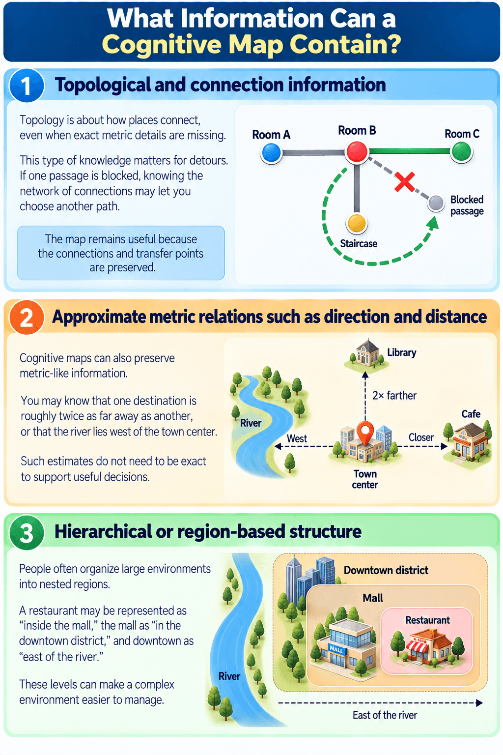 What Information Can a Cognitive Map Contain?