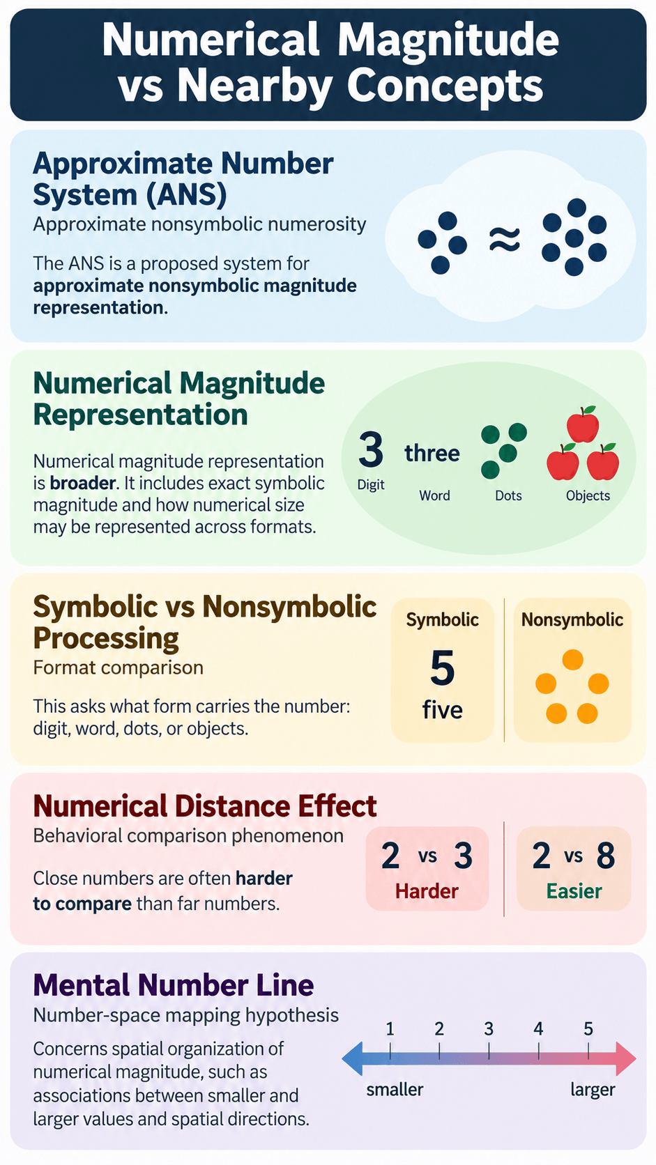 Numerical Magnitude vs Nearby Concepts