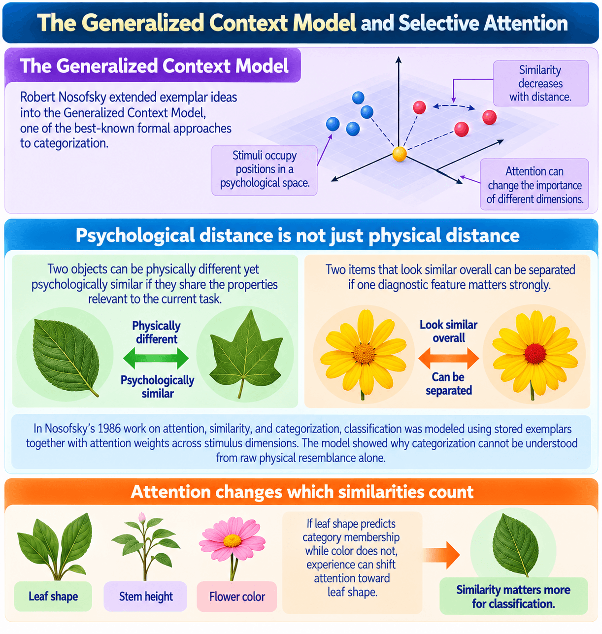 The Generalized Context Model and Selective Attention