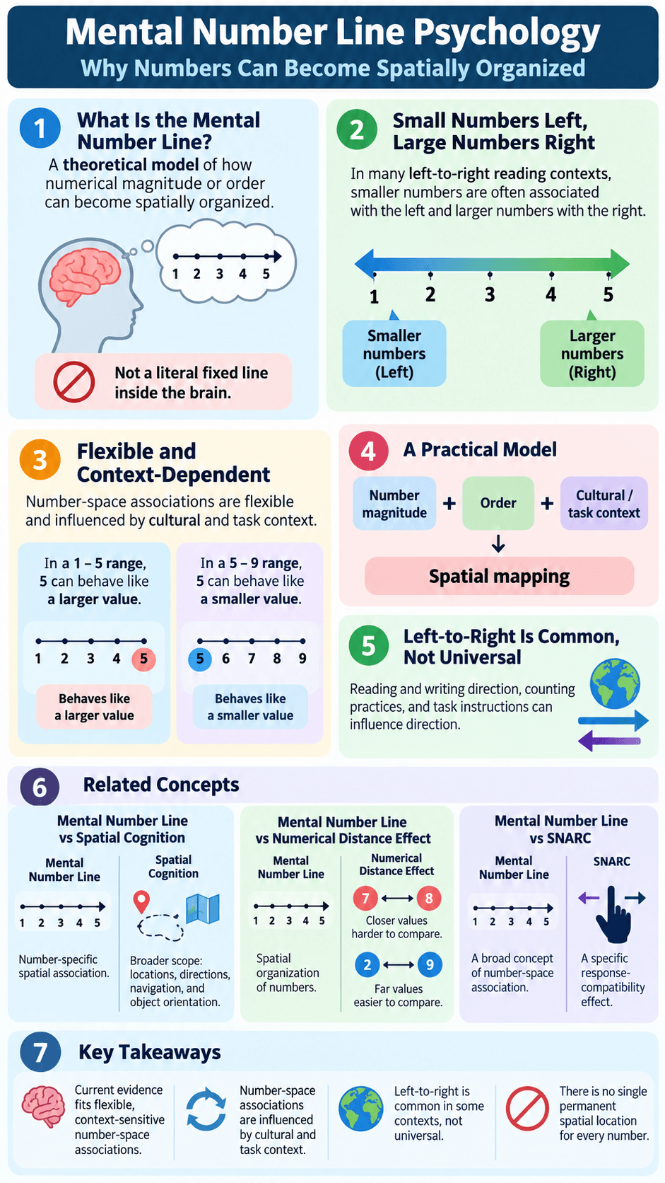 Mental Number Line Psychology