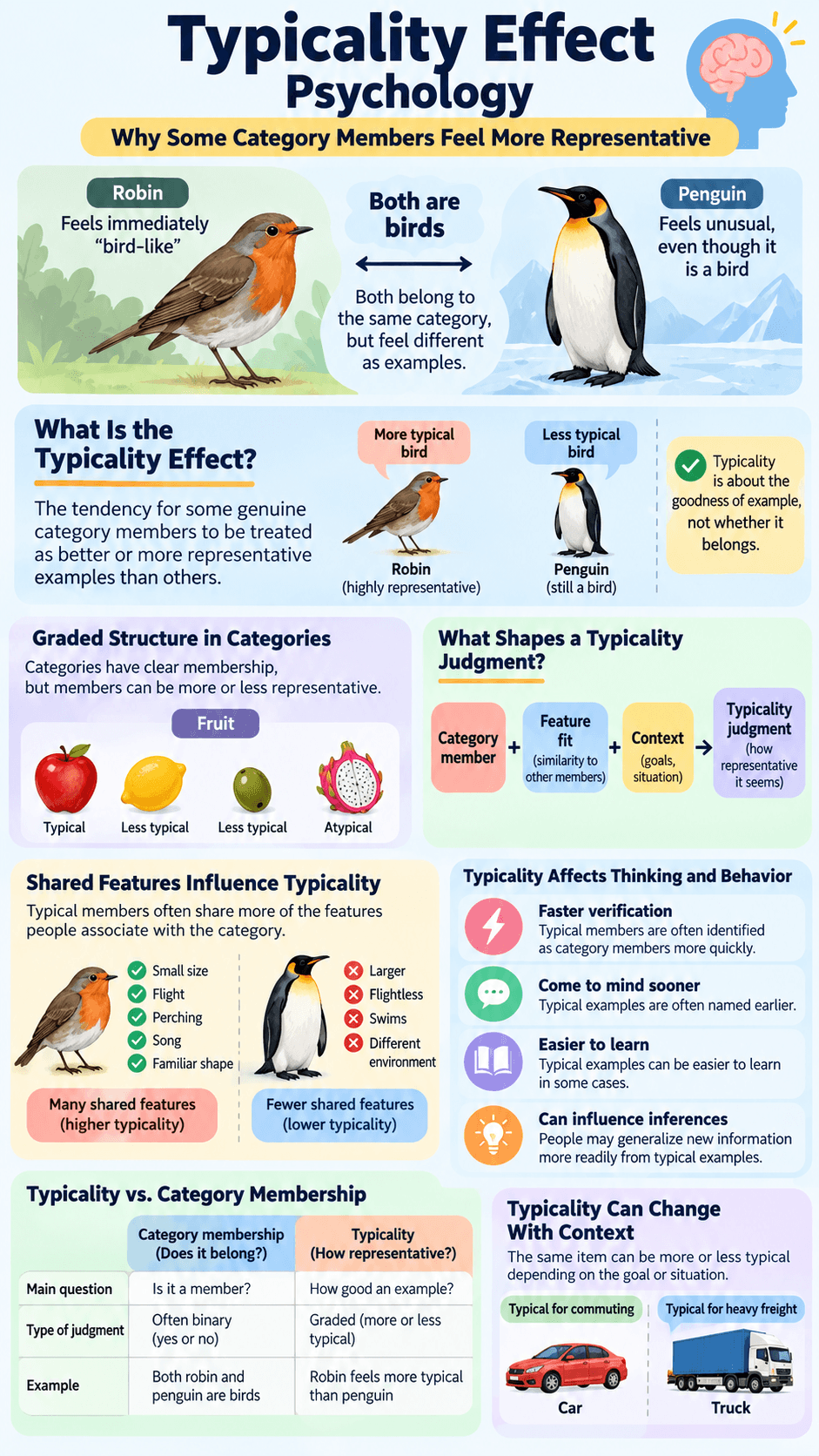 Typicality Effect Psychology