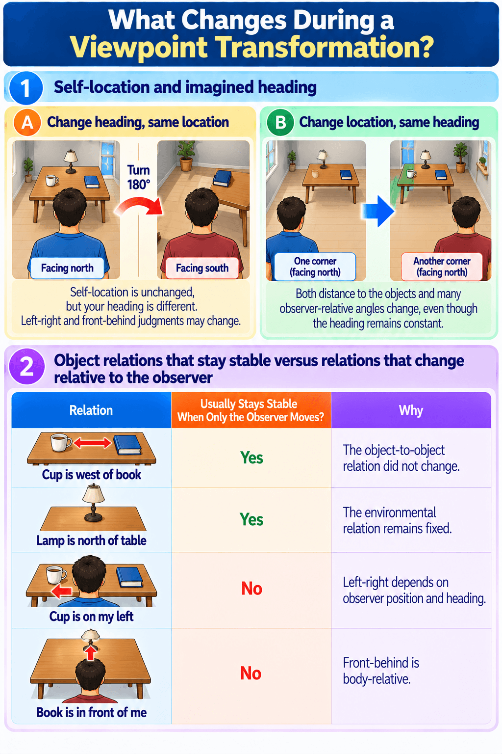 What Changes During a Viewpoint Transformation?