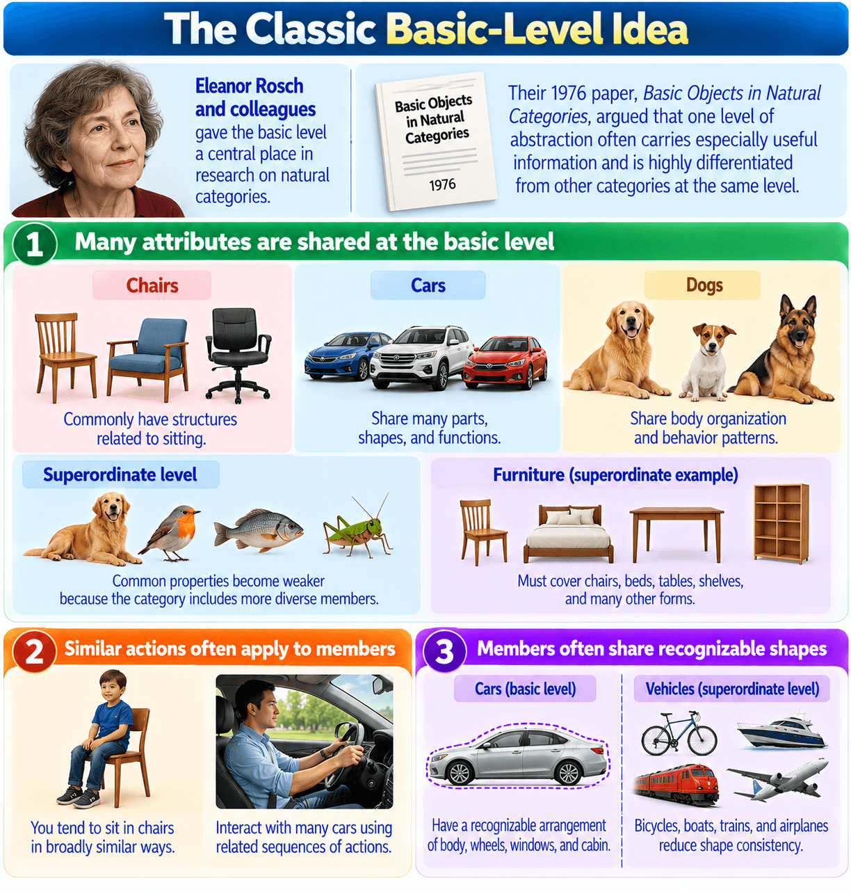 The Classic Basic-Level Idea