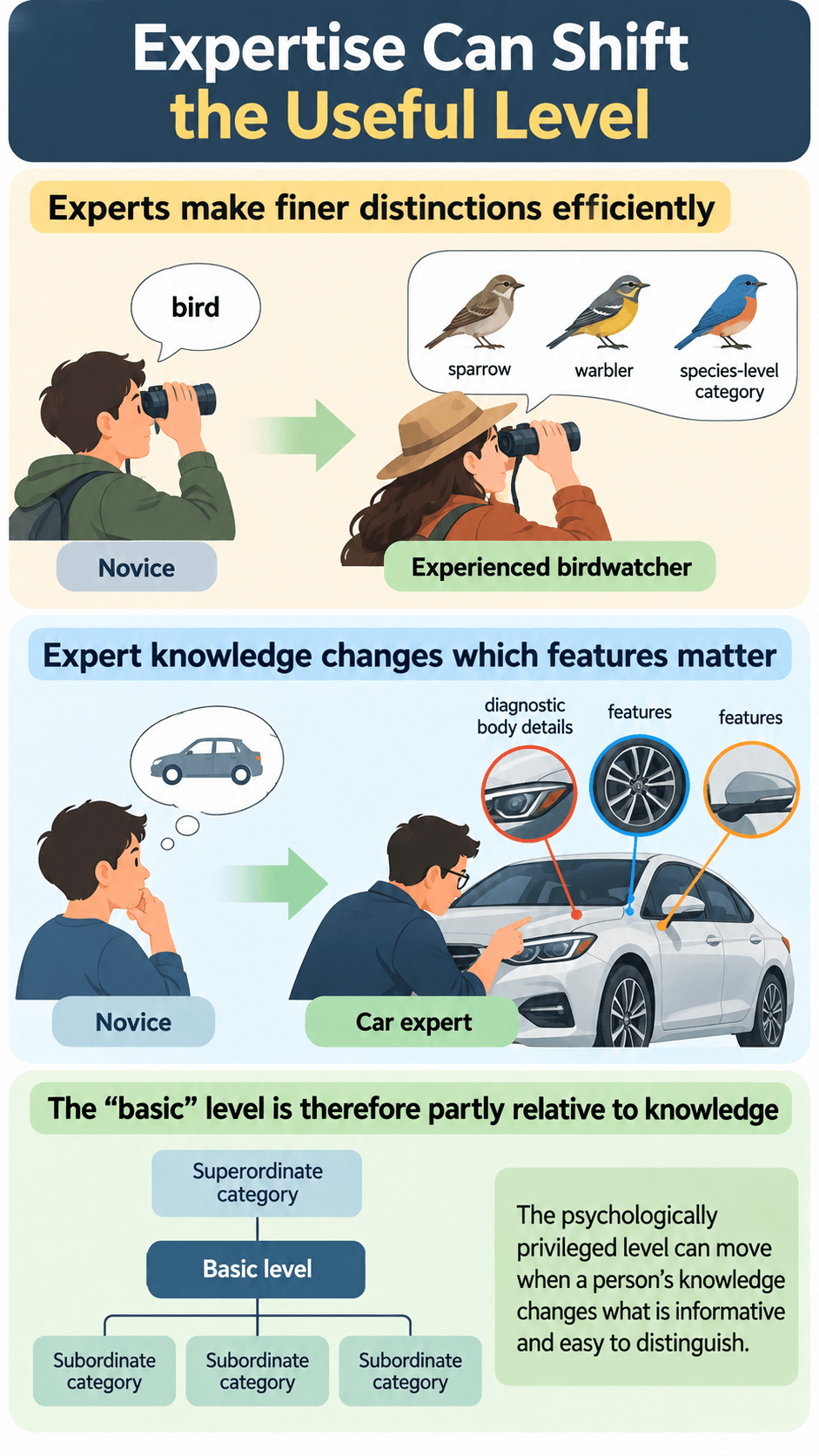 Expertise Can Shift the Useful Level