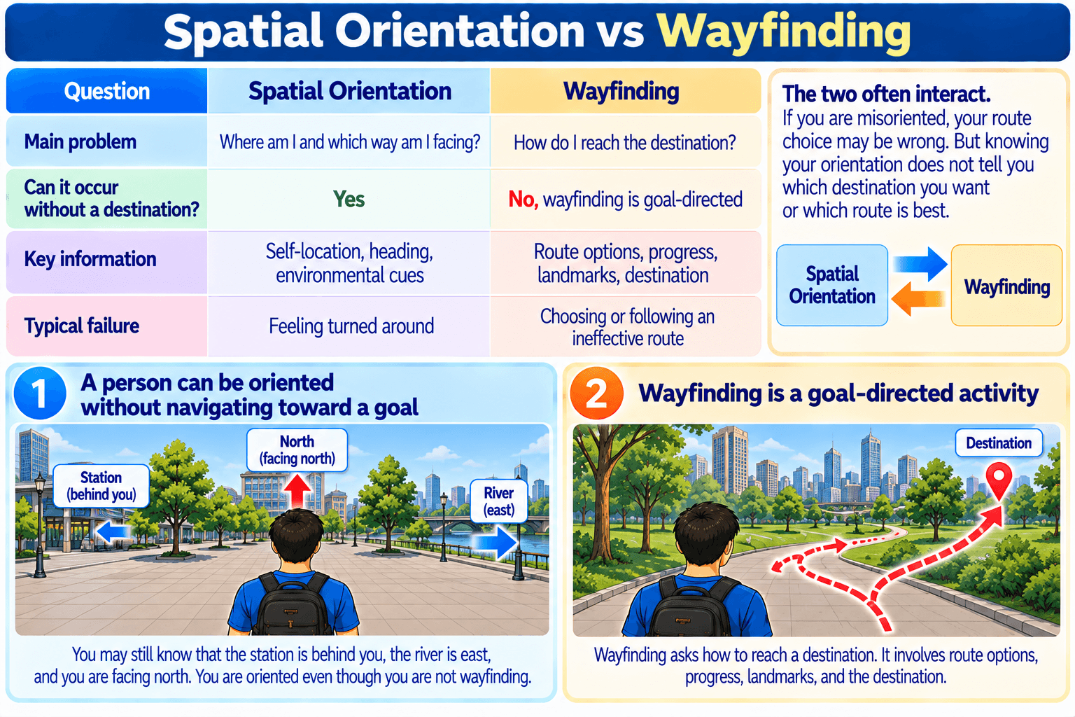 Spatial Orientation vs Wayfinding
